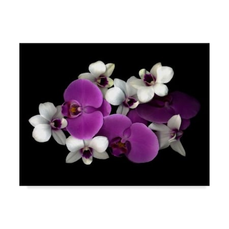 Susan S. Barmon 'Pink And White Orchids' Canvas Art,14x19